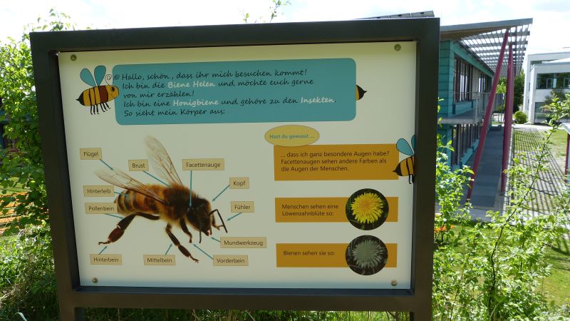 Bienenlehrpfad Dinkelscherben